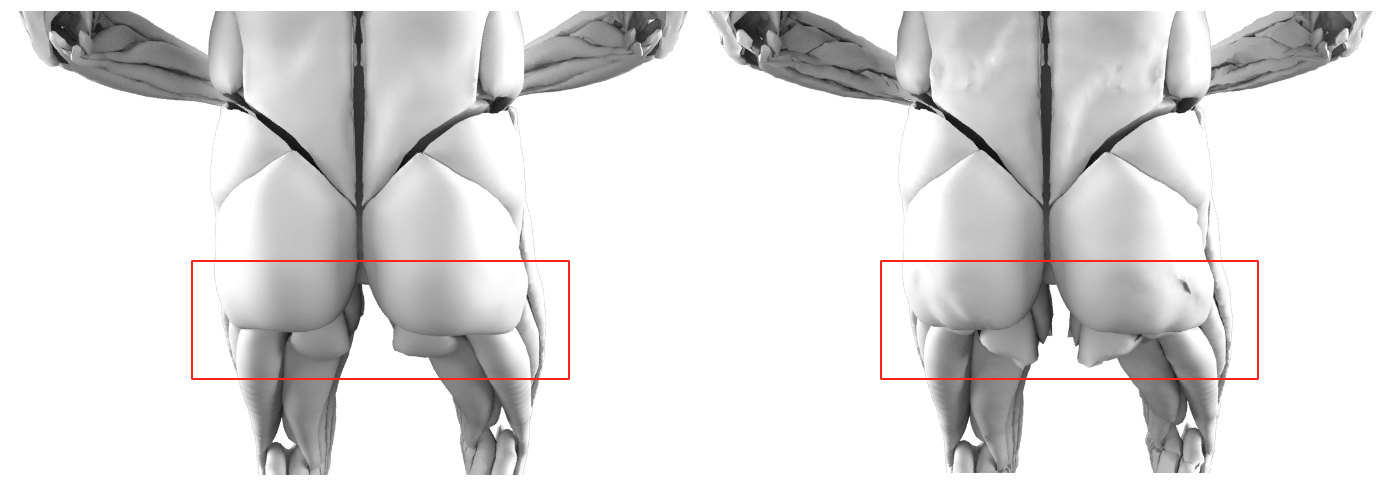 Full-body volumetric muscle with and without multigrid