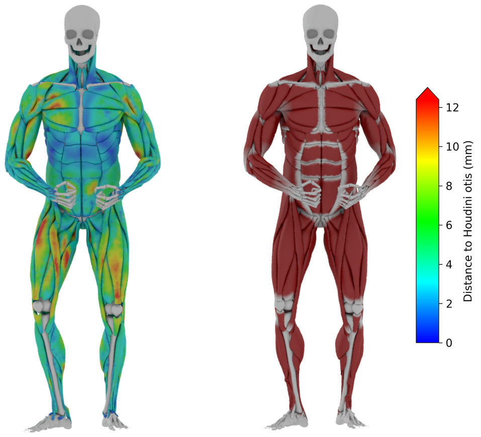 Comparison against Houdini's Otis solver